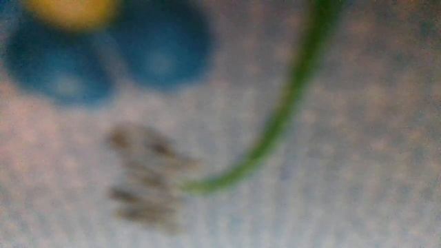 Музыкальные игрушки(Динь-динь-динь-динь колокольчик(наброски) смотреть онлайн