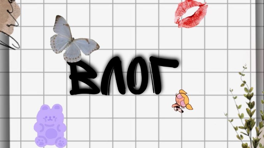 влог