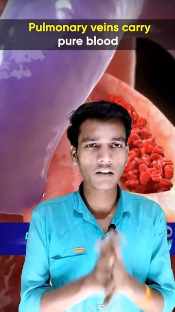 Types Of Snake Venom 🐍🐍 😱 #shorts #youtubeshorts смотреть онлайн