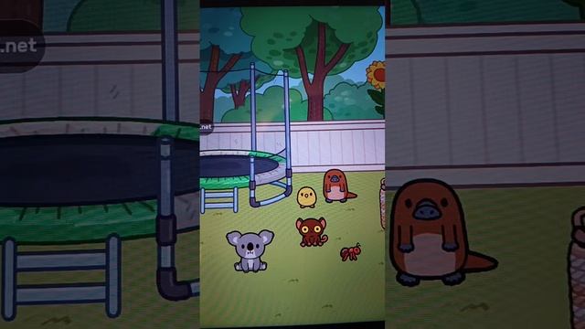 _Eva Apple _🫧//Эфир номер 31//токабока//Toca Boca World 🌎//Тока хомг