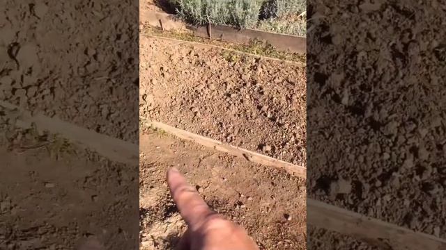 ОГОРОД круглый ГОД смотреть онлайн