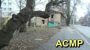 АСМР. Путь в тумане... / ASMR