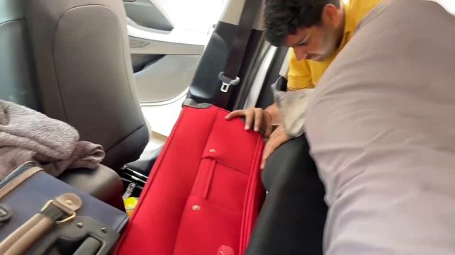 Hyundai creta|camping setup| easy way to set🚗 смотреть онлайн