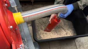 Слон на нашей ферме