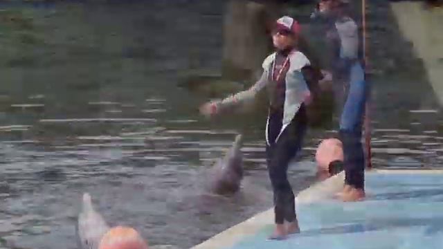 VTS 02 1 смотреть онлайн