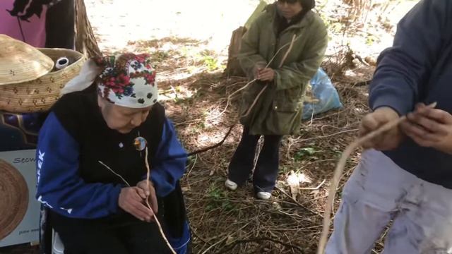 Cedar root baskets смотреть онлайн