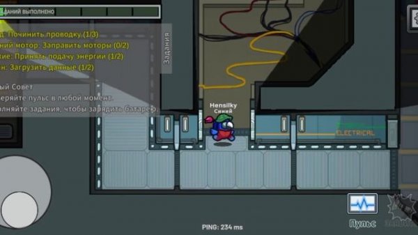 Покупаю за почки куб с двумя питомцами и 30-ю скинами +4 аксессуара Амонг ас