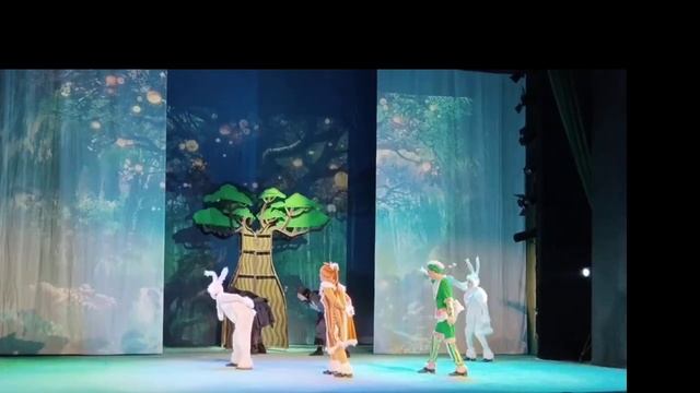 Новогоднее представление. Молодежный театр "Айболит и Бармалей". смотреть онлайн