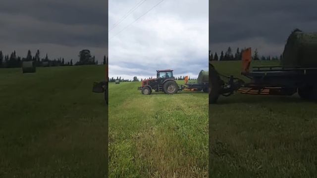 Подборщик-транспортировщик рулонов. смотреть онлайн