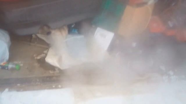 Cold start at -12 ~ -15*C: Volvo S40, Mazda 626, FSO Polonez, Fiat Uno смотреть онлайн