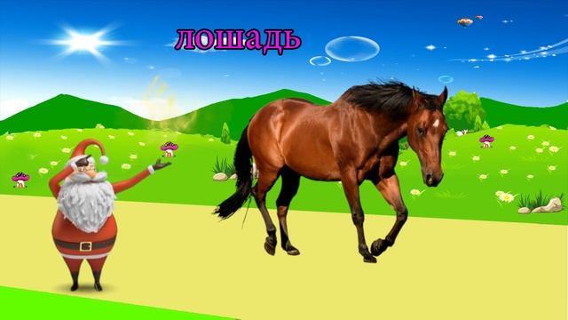 животные для детей дикие - милые животные для детей | BonBi TV смотреть онлайн