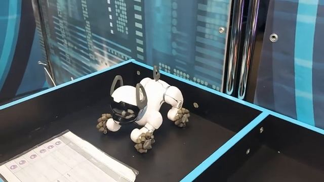 Выставка роботов смотреть онлайн