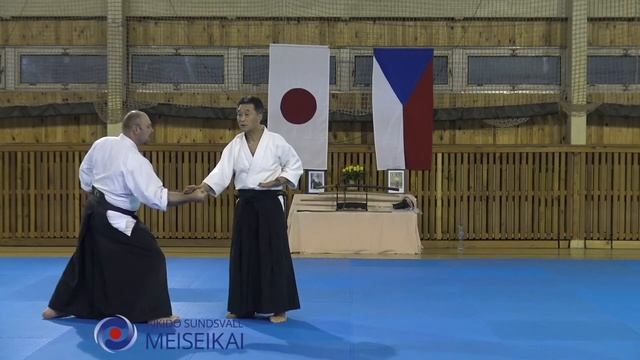 10 Aikido Sodedori Ikkyo Omote Shishiya Sensei, Horice 2016