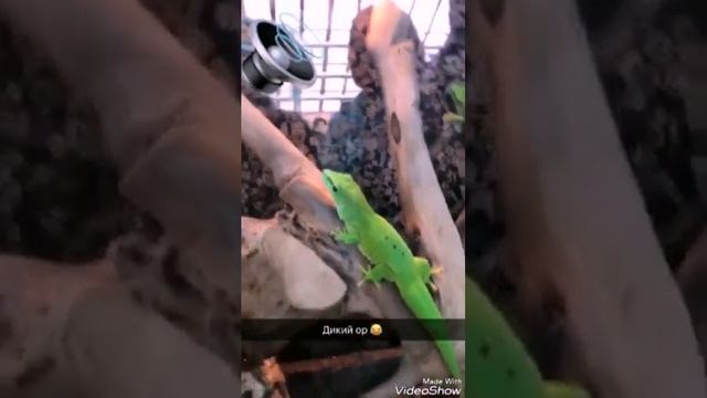 Выходные смотреть онлайн