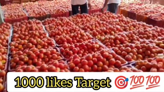 27-04-24 Madanapalle Tomato Market price Today || Today Tomato Market Rate in Madanapalle #today смотреть онлайн