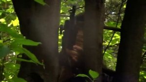 Песня Сумасшедшего учёного (из фильма "Кролик 2")