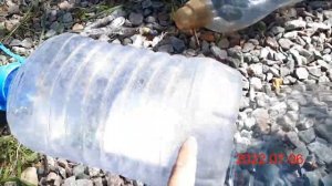 V #42 Экспериментальное выращивание огурца внутри шины