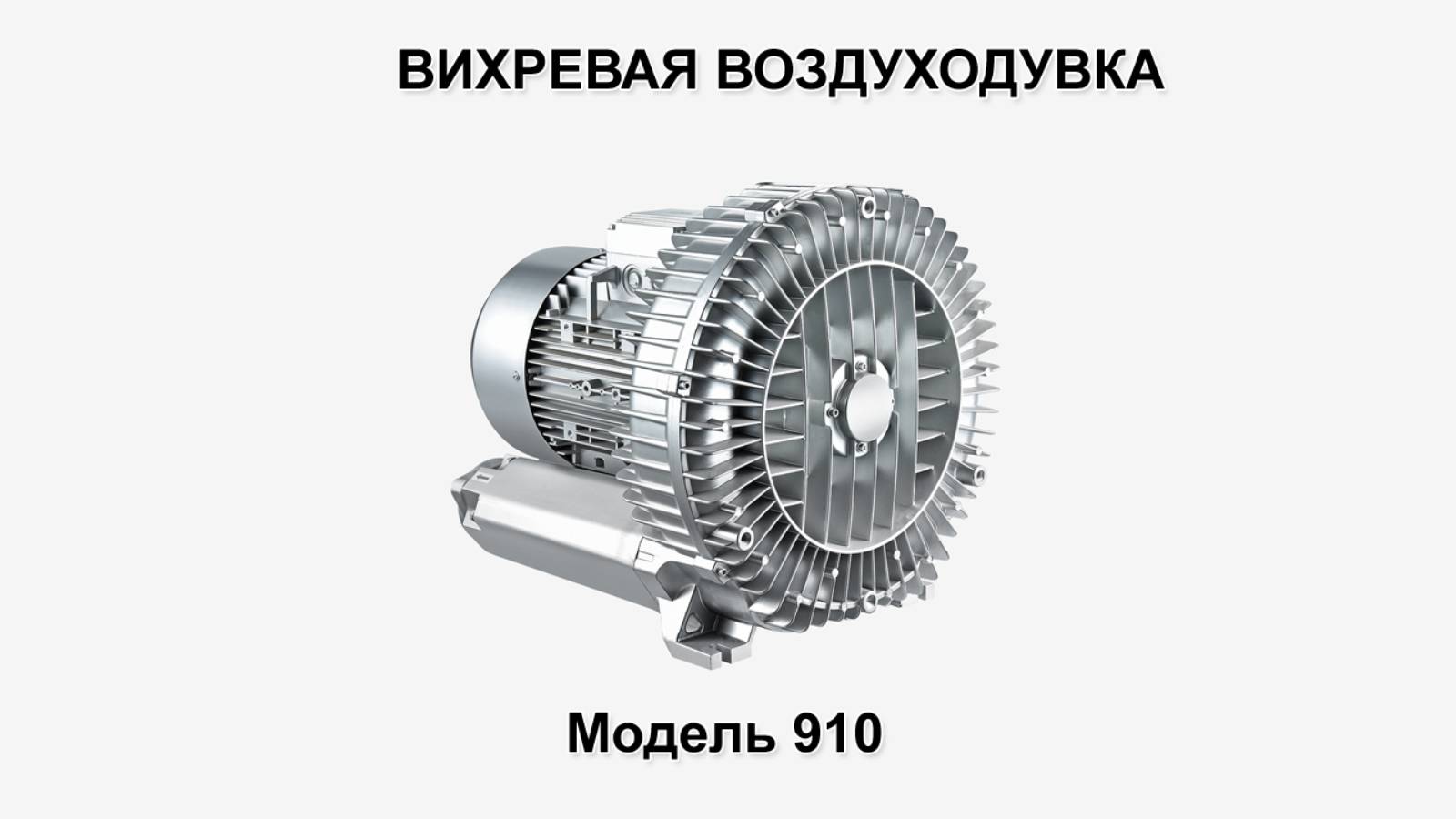Воздуходувка 2RB 910