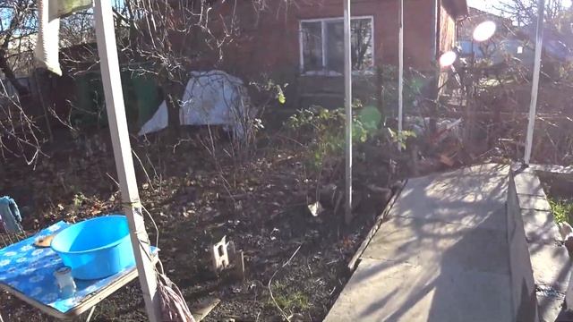 Домашний круговорот и посадка малины