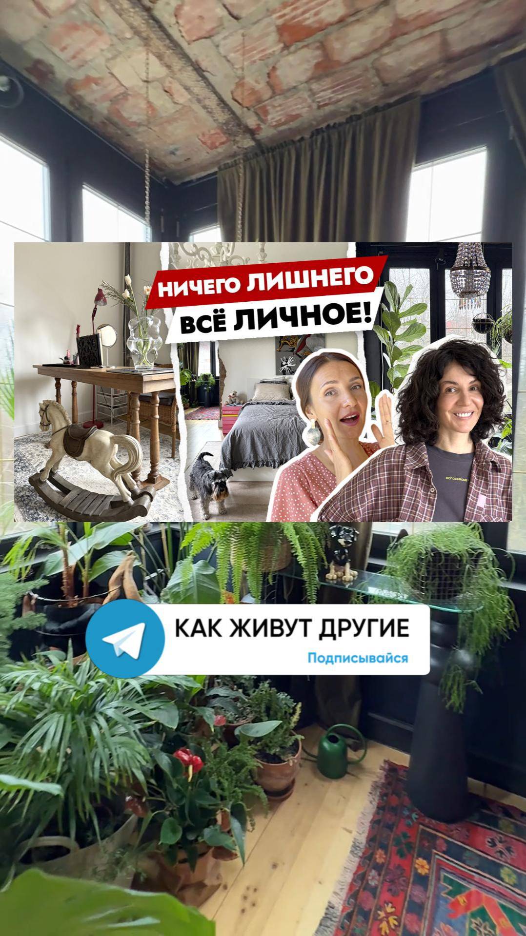 Стильный интерьер в старом фонде Калининграда🪴 #дизайнинтерьера смотреть онлайн