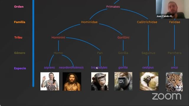 Aprendiendo sobre Taxonomía para no Taxónomos (Clasificación Biológica) смотреть онлайн
