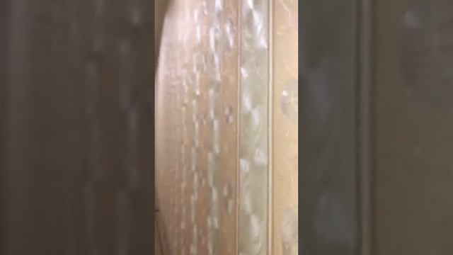 Парк развлечений галилео смотреть онлайн