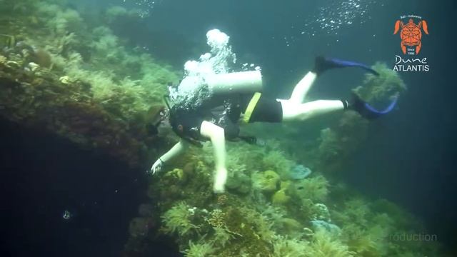 Liberty Wreck, 20 April 2016 смотреть онлайн
