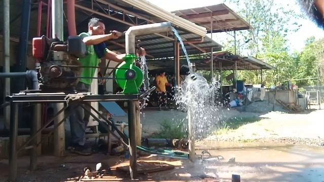 Frer Test, Papaya San Antonio N.Ecija,Val Dee Farm Sf3 смотреть онлайн