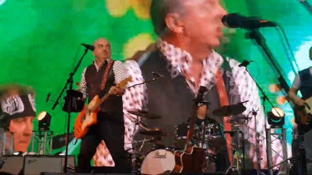 Зеленый пиджак смотреть онлайн