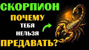 ♏🔴25 ПРИЧИН, ПОЧЕМУ НИ В КОЕМ СЛУЧАЕ НЕЛЬЗЯ ПРЕДАВАТЬ СКОРПИОНА. А ВАС ПРЕДАВАЛИ?