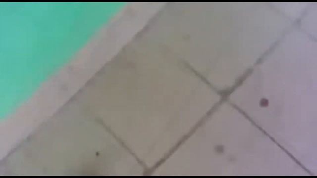 голубь под гипнозом смотреть онлайн