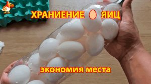 Способ хранения яиц в бутылке экономит место в холодильнике и удобно при перевозке