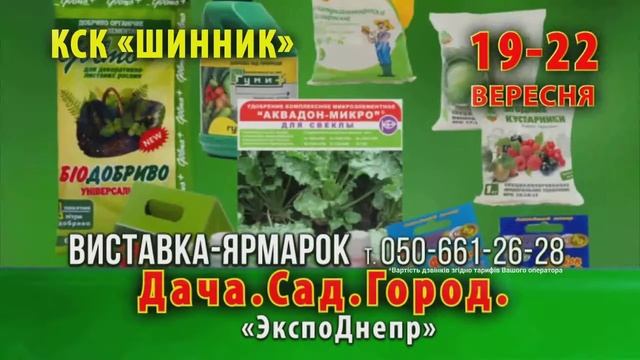 Выставка Дача. САД. Огород смотреть онлайн