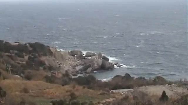 пчёлка смотреть онлайн