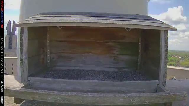 Camera 5 - 05/19/16 смотреть онлайн