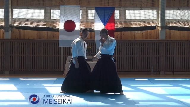 1 Aikido Tsuki Kotegaeshi Shishiya Sensei, Horice 2016