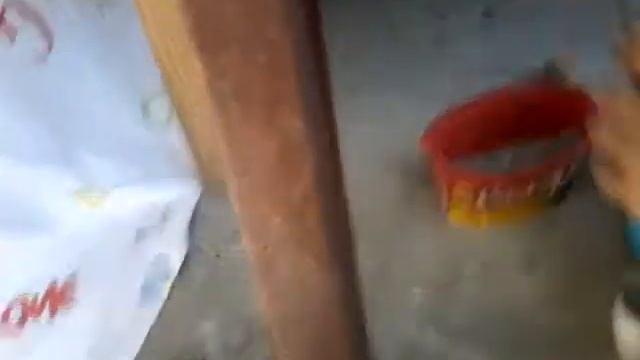 elime eresus örümceği aldım смотреть онлайн