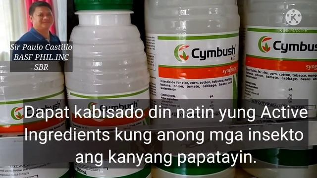Bakit Kailangan Malaman Natin Ang Mga Active Ingredients Ng Mga Chemicals Na Ating Ginagamit???? смотреть онлайн