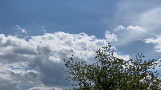 Cumulus White Clouds Sunshine-sunny Blue Sky Trees-grass Chicago Weather July 13 2020 Northbrook IL
