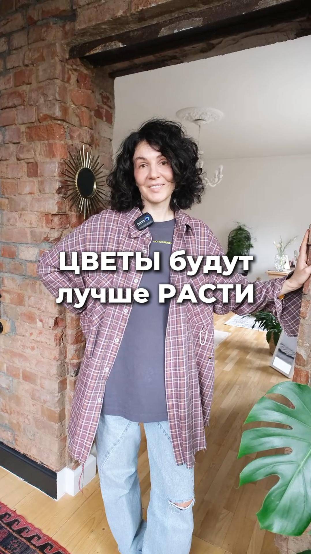 Оранжерея в квартире❤️ #дизайнинтерьера смотреть онлайн