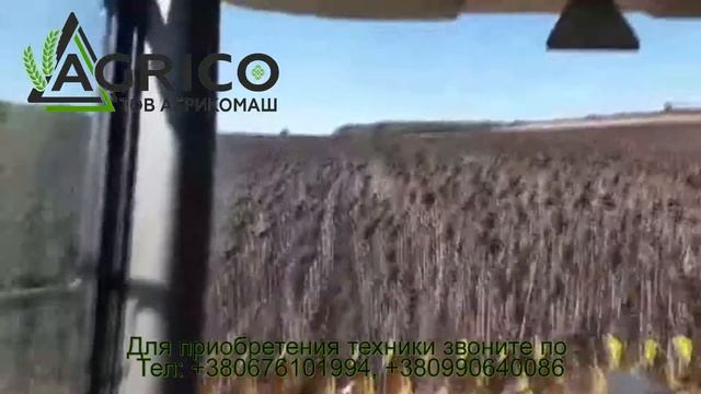 Безрядковая жатка для подсолнечника на Лексион, Кейс, Массей Фергюсон смотреть онлайн