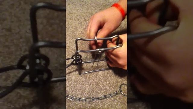 how to set a bridger 110 conibear trap смотреть онлайн