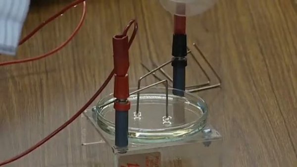 Insight Intermediate Unit 3 Live well, play well