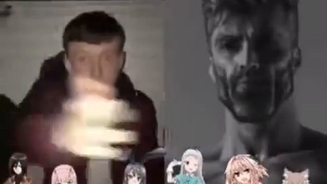 Average Waifu Fan Vs Average Trap Enjoyer смотреть онлайн