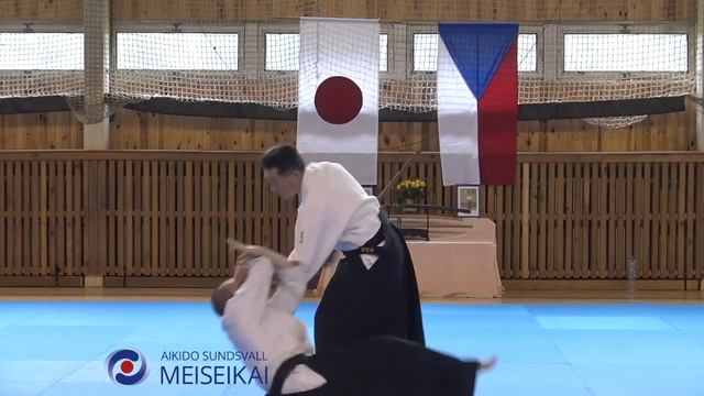 8 Aikido Tachidori Shihonage Shishiya Sensei, Horice 2016