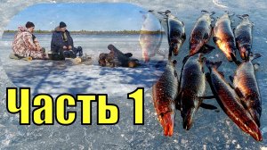 Чёрные щуки ХМАО-Югры. Последний лёд на таёжных озёрах.