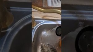 кофемашина с автоматическим капучинатором Tuvio TCM05AA