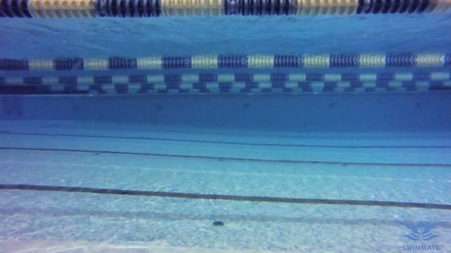 BUTTERFLY SWIMMING TECHNIQUE: HOW TO START LEARNING (BEST TIPS) смотреть онлайн