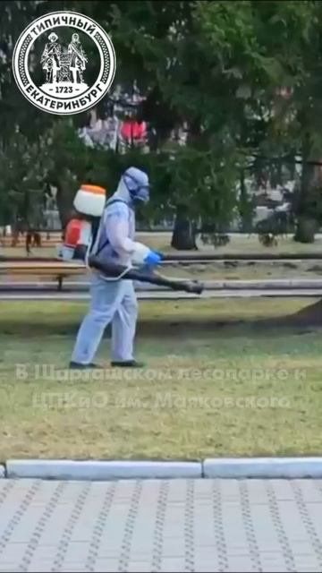 Дезинсекция в парках города смотреть онлайн