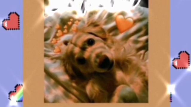 🎄 ТАНЦУЙ ЕСЛИ ЗНАЕШЬ ЭТОТ НОВЫЙ ТРЕНД 🎄 ТРЕНД ТИК ТОК 🎄 смотреть онлайн